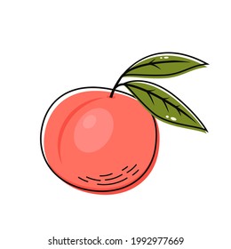 Peach. Sweet fruit. Peach vector icons.