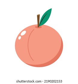 Peach. La fruta dulce. Iconos vectoriales.