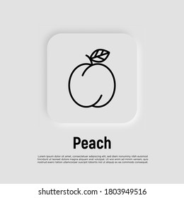 Peach thin line icon. Fruit for juice. Healthy organic food. Vector illustration.