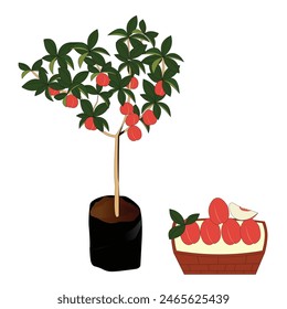 The peach tree with a basket full of peaches