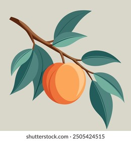 peach tree branch with peach and leaves