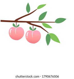 Peach Tree Branch With Leaves Isolated On White Background Vector. Cute Cartoon Fruit.