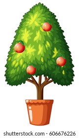 Peach tree in claypot illustration