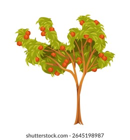 Peach tree clipart or edible fruit seasonal plant symbol. Vector cartoon flora for garden or orchard, farm organic perry or juice harvest. Wood with foliage and branches icon. Nature and horticulture.