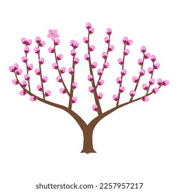 Peach tree in early spring with full flower buds