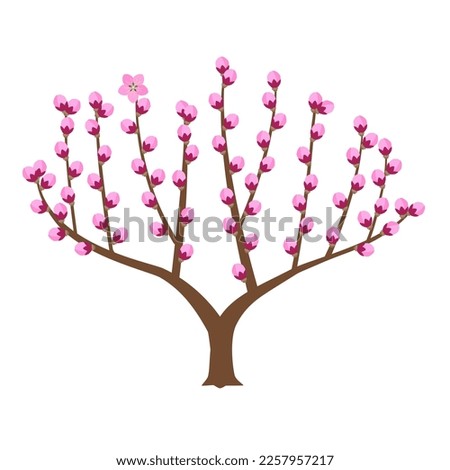 Peach tree in early spring with full flower buds