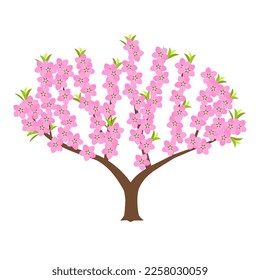 Peach tree with flowers in full bloom