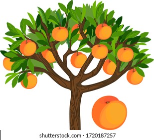 1,211 Peach tree cartoon Images, Stock Photos & Vectors | Shutterstock