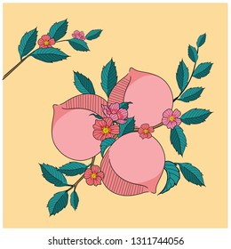 peach tree hand drawn