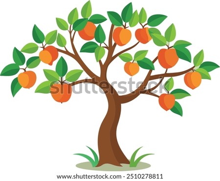 Peach tree Isolated flat vector illustration 
