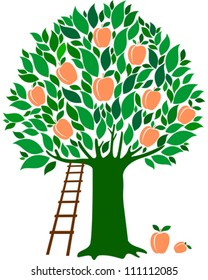 Peach Tree Isolated On White Background. Vector Illustration