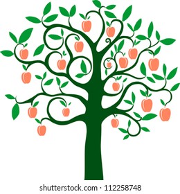 Peach Tree Isolated On White Background. Vector Illustration