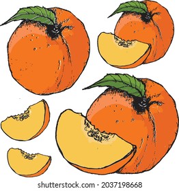 Peach vector art isolated with white background