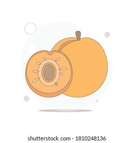 Peach vector flat illustration on white