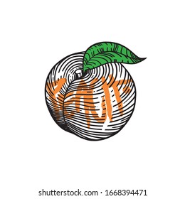 peach vector icon color artstyle 