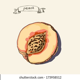 Peach vector illustration