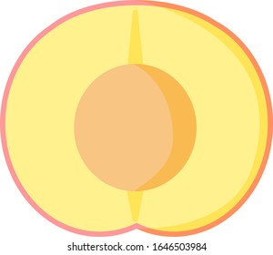 Peach vector illustration , Autumn fruits