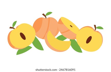 Peach Vector And Illustration Design . 