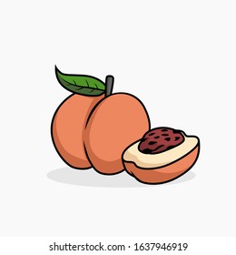 Peach vector illustration isolated for all purpose