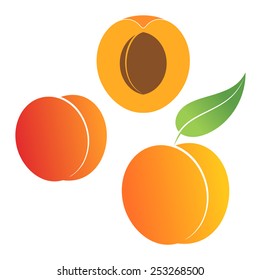 Peach. Vector illustration. Isolated fruit on white background