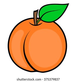 Peach vector illustration isolated on white background.