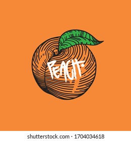 peach vector illustration line art
