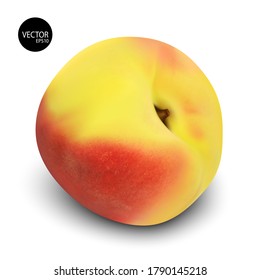 Ilustración vectorial de color. Vector de frutas de melocotón realista. fruta fresca dulce para zumos, tartas o mermeladas. Cosecha veraniega.