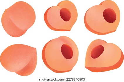 Ilustración aislada del vector de durazno, conjunto de melocotones