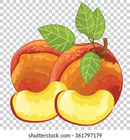Peach vector isolated on transparent background