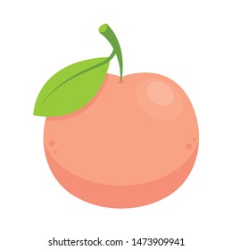 Peach vector. peach on white background. wallpaper. Peach logo.