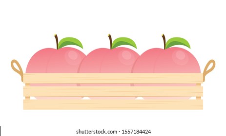 Peach vector. Peach on white background. Crate vector. Peach in the crate.