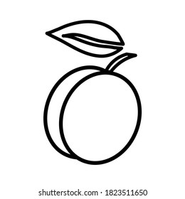Peach vector outline illustration im minimalistic style on white background