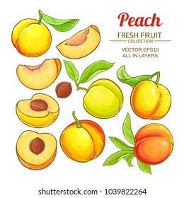 peach vector set