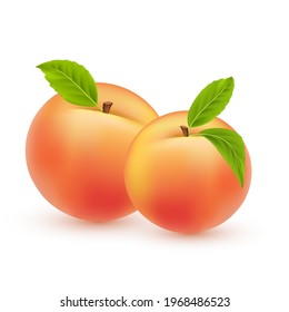 Peach vector. Sweet summer fruit isolated on white background. Two realistic peaches with green leaves. Vector 3d  illustration EPS10