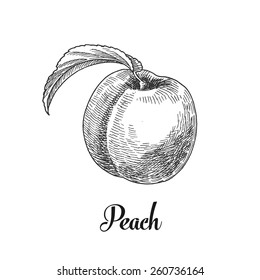 peach, vintage fruit 
