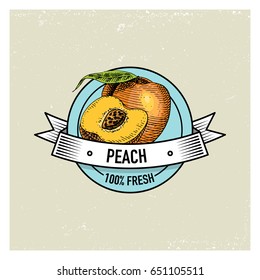 Peach Vintage, hand drawn fresh fruits background, summer plants, vegetarian and organic citrus and other, engraved.