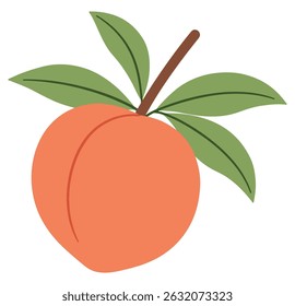 Peach whole fruit with leaves isolated on a white background. Cartoon icon for package design. Vector illustration of tropical fruits in flat style