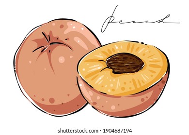 Pfirsiche ganz und halb, Farbe, Vektorgrafik