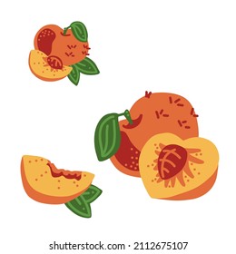Pfirsich. Ganze, halb, schnitt, blättern und symbol. Gut für Poster, Packungen, T-Shirts, Postkarten, Einkaufstaschen. Vektorhand zeichnet Cartoon-Illustration.