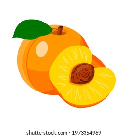 the peach is whole with a leaf and half with a stone. vector isolated on a white background.