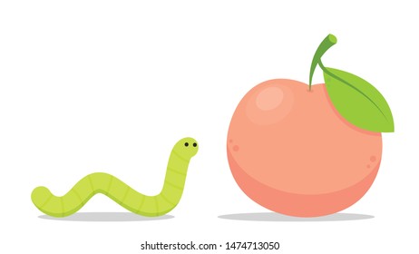 Peach and worm vector. peach on white background. wallpaper.