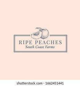 Peaches Abstract Vector Sign, Symbol or Logo Template. Hand Drawn Fruits Sillhouette Sketch with Elegant Retro Typography and Frame. Vintage Luxury Emblem. Isolated.