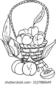 Peaches in a basket.Doodles ,vector,black and white illustration,coloring book for adults and children.