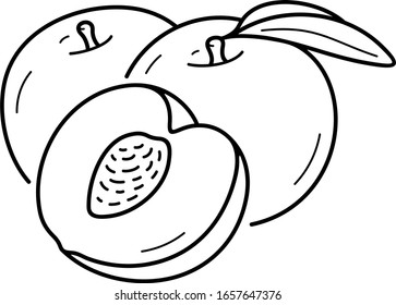 Pfirsiche. Staatssymbol Georgiens. Umriss-Symbol der Vektorillustration.