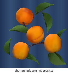 Peaches on a blue background
