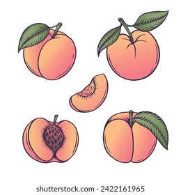 Peaches set. Collection of tropical fruit design elements in flat line style. Vector illustration.