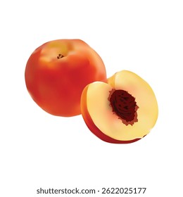 Peaches Stock Illustration vector based drawing on white background Vol 01