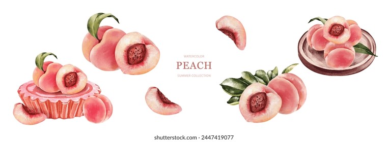 Peaches watercolor set vector on white background. Suitable for invitations, banner, poster, background or decorative.