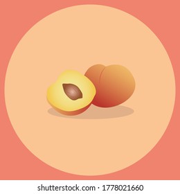 Peach.Fresh fruit.Realistic Fruit. Vector illustration.