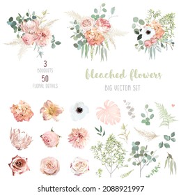 Peachy pink roses, ranunculus, white anemone, dried protea, dahlia, hydrangea, carnation big vector design set. Wedding floral and greenery. Watercolor flowers. Summer style. Isolated and editable